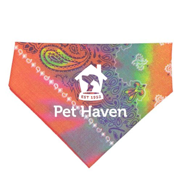 Accessories Thumbnail